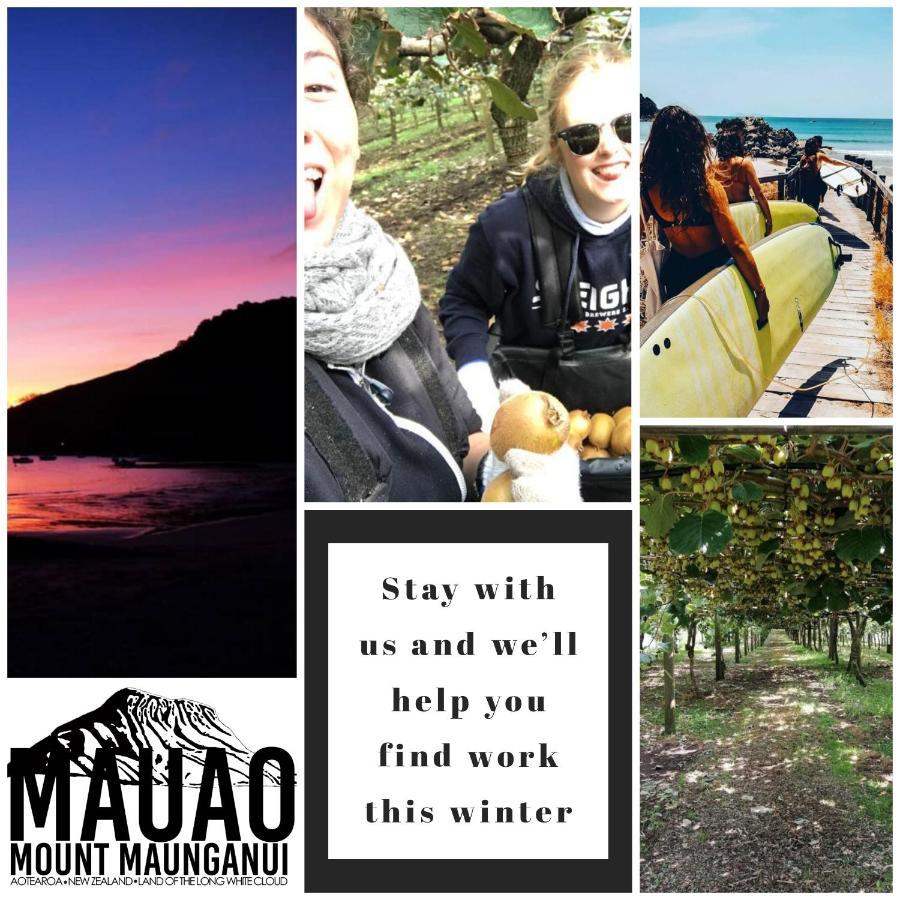 Mount Backpackers Hostel Маунт Маунгануи Екстериор снимка